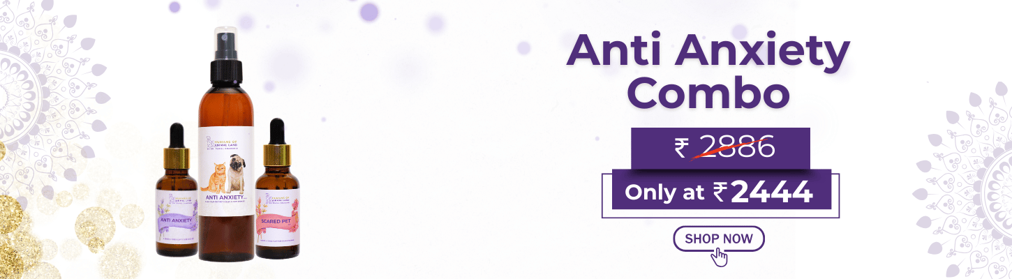 anti_anxiety_pack