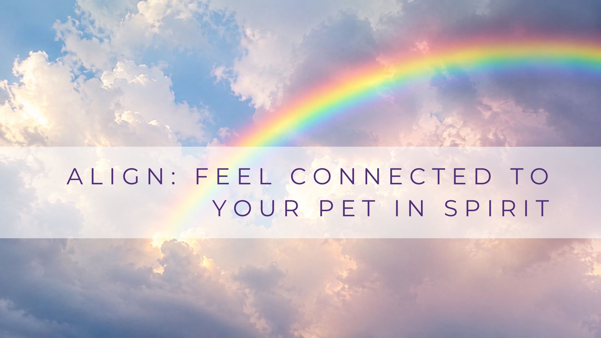 Feel Connected With Your Pet In Spirit